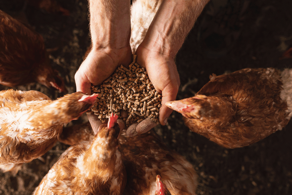 Food, Feed & Bulk Materials