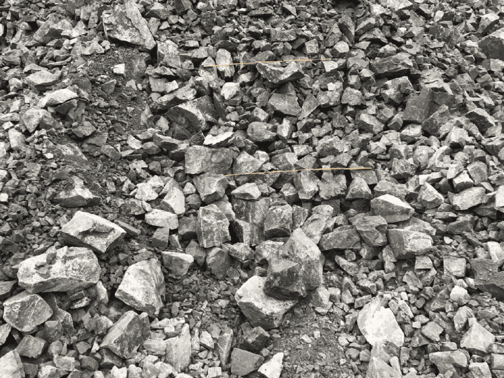 An example of dual scale reference objects used in an image