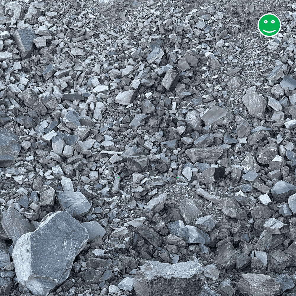 An example of a good field image, excellent for WipFrag analysis.