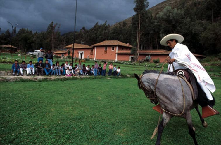 Peruvian horsemanship display